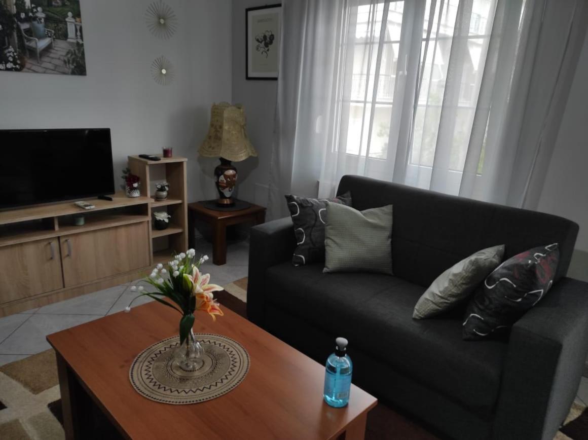 S.T Family Apartement Kalampáka Luaran gambar